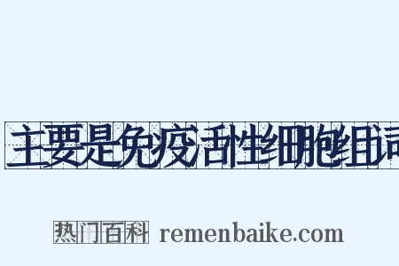 主要是免疫活性细胞组词是什么意思的图片